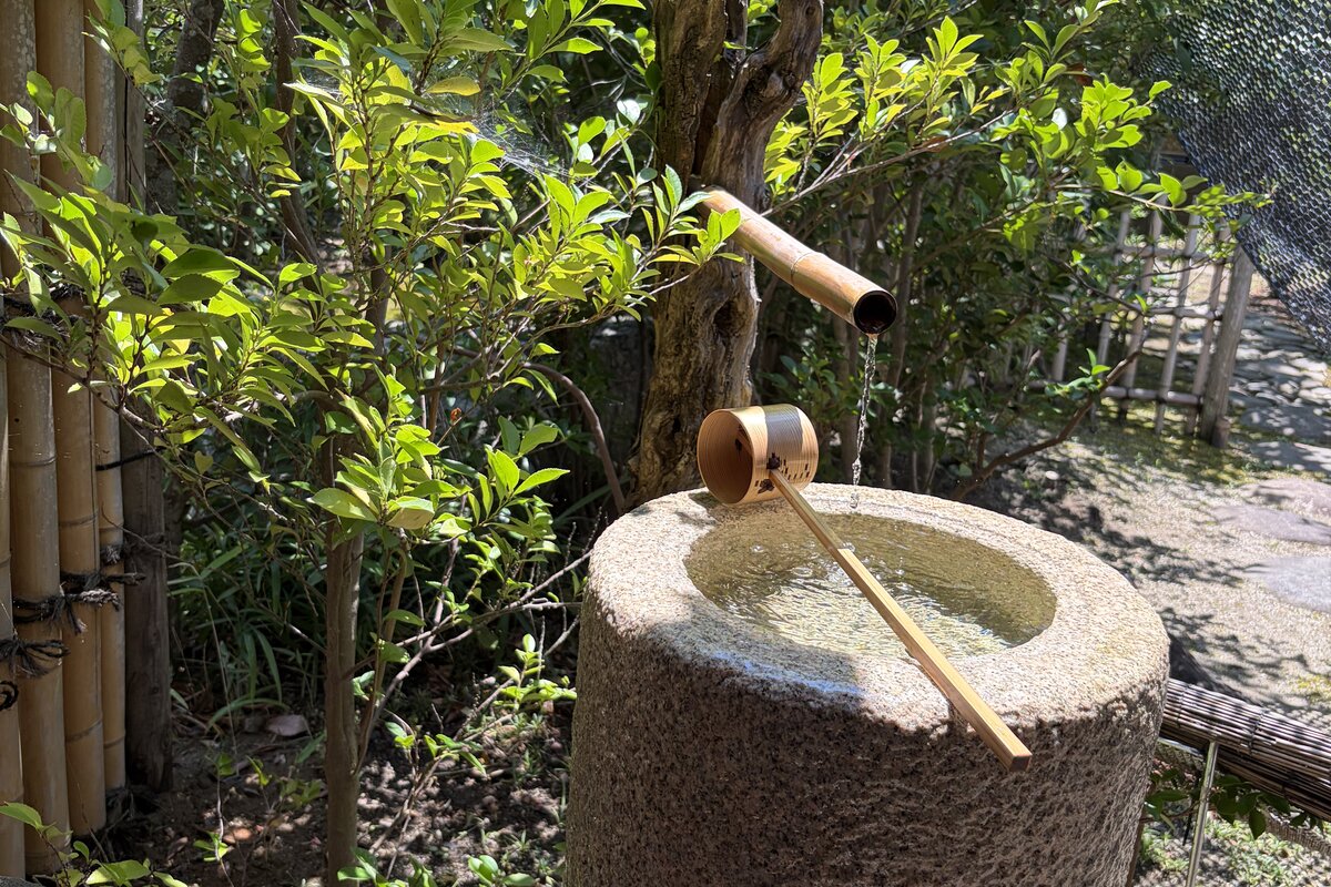 青葉の下、竹の筧から水が落ちる蹲踞と柄杓