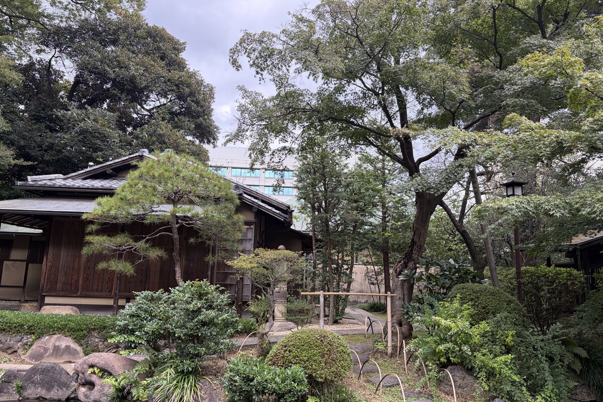靖国神社の献茶式奉賛茶会へ——会記で振り返る、雁と菊の秋